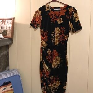New, unworn velvet floral Zara dress